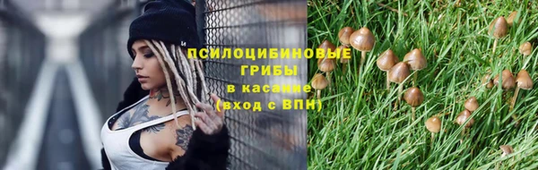 дживик Нязепетровск