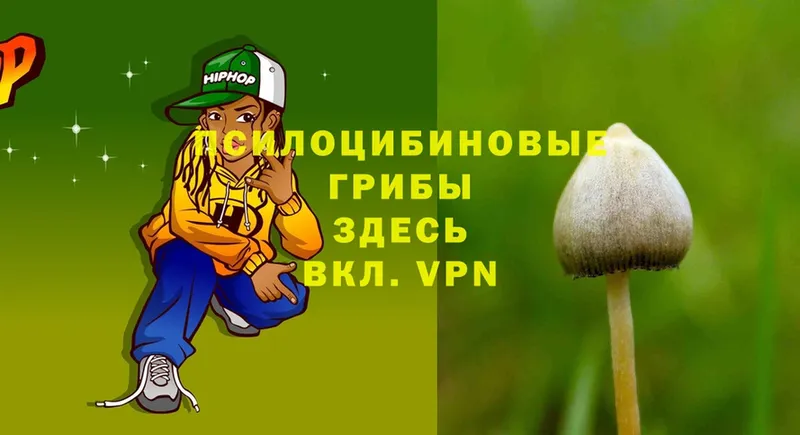 купить наркотики сайты  Ртищево  Псилоцибиновые грибы Cubensis 