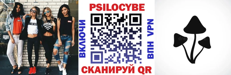 Псилоцибиновые грибы прущие грибы  сколько стоит  Ртищево 