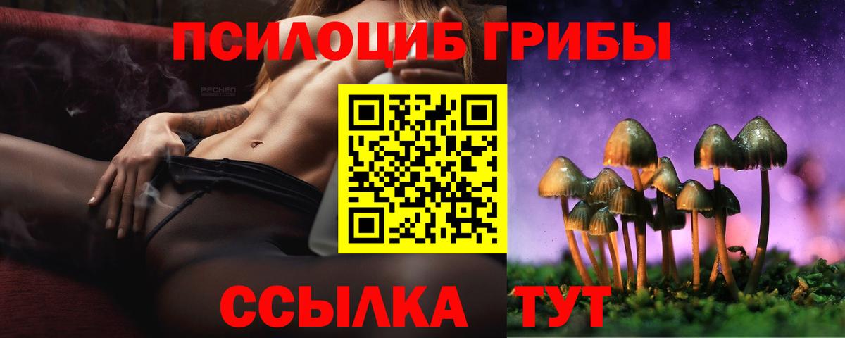 Псилоцибиновые грибы MAGIC MUSHROOMS  Вход с VPN  Ртищево  Галлюциногенные грибы Psilocybe 